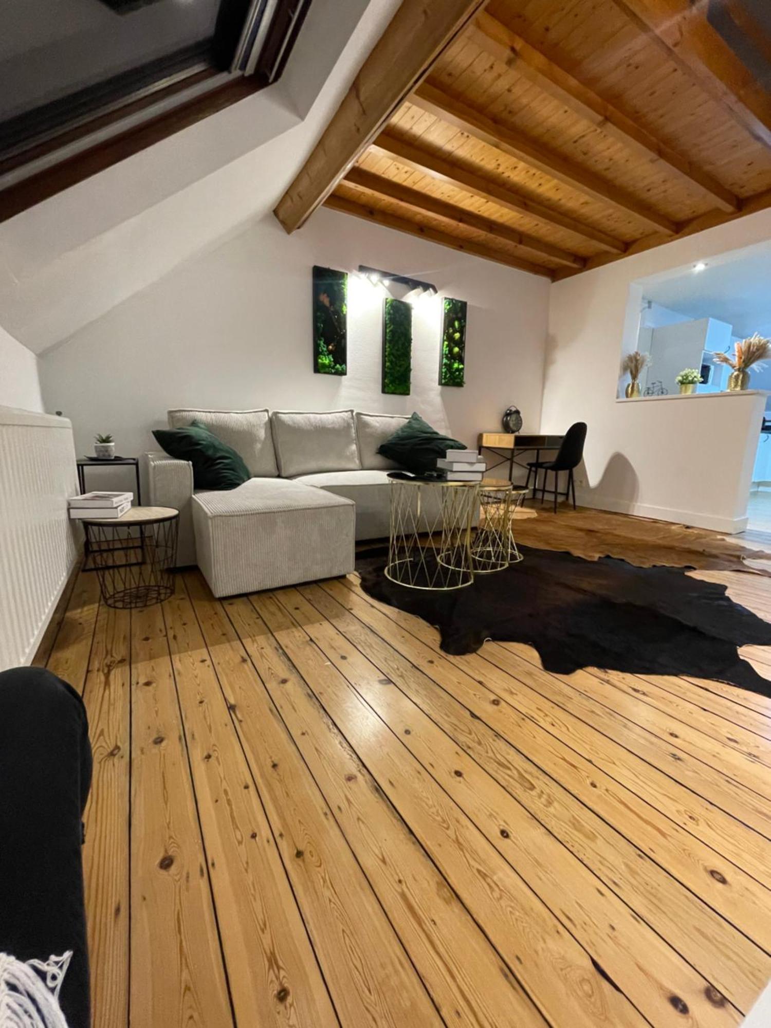 Attic European Quarter Apartment Brüssel